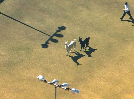 Https Encrypted Tbn0 Gstatic Com Images Q Tbn 3aand9gct3roitkkasjjes0iudi46ksfzqdjl1ddspdg Usqp Cau